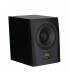 Phonar Veritas Next S8 - 10" subwoofer