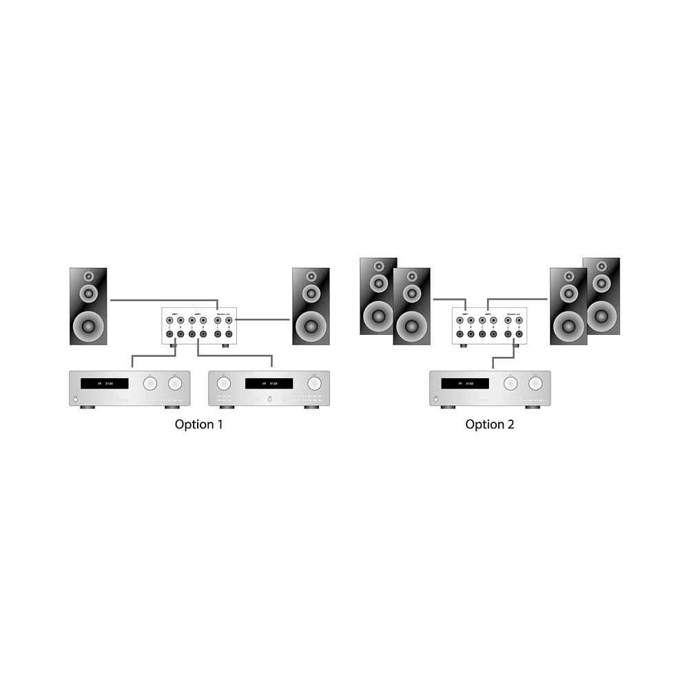 Forsterker- og høyttalerswitch Dynavox AMP-S MKII