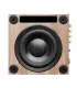Triangle Thetis 300 - 8" subwoofer